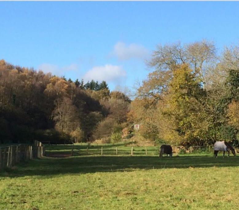 Woodmill Farm Cottage Alvington Buitenkant foto